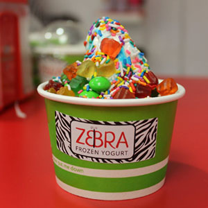 Zebra Frozen Yogurt in cup with toppings